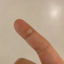 <<애슐리>> 알바 후기, 그릴, 난이도 및 업무 강도