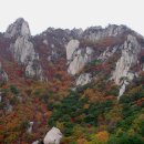 구자곡 산악회 10월 16일 도봉산 Y계곡 등산안내 이미지