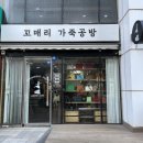 꼬매리가죽공방 | 여권 케이스 만들기: 꼬매리 가죽 공방