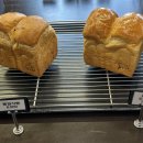 베이커리카페 코드비(CODEB) | 🍞 다양한 즐거움이 있는 베이커리 카페 코드비 방문 후기