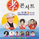 효콘서트 이미지