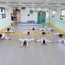 강담태권도 이미지