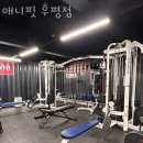 애니핏후평점 네이버블로그