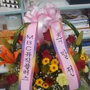 레몬헤어샵