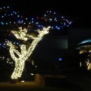 더 로딘(전문식당) 이미지