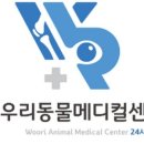 24시 수 동물메디컬센터 이미지
