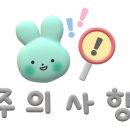 돈참새미 이미지