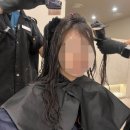 스피드헤어짱