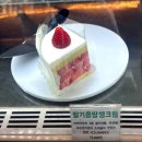 달리애견 | [의왕 백운호수 카페] '헨지카페' 🍰 생딸기 가득한 케이크 맛집 애견동반 후기