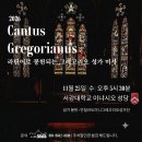[Cantus Gregorianus] 26년 11월 라틴어로 봉헌되는 그레고리오성가 미사 이미지