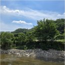 솔밭야영장