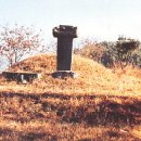반우 이미지