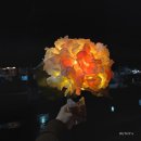 Cinema Paradise 이미지