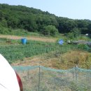 공장랜드공인중개사사무소 이미지