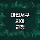 대전 서구 치아교정 잘하는 전문치과 병원 추천 | 비용 후기 설측교정 돌출입 앞니 투명 무턱 부분...