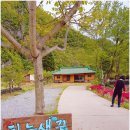 할머니횟집 이미지