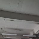 레이스웨이 Daum카페