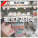 팜메드약국 | 캐나다 감기약 내돈내산 리스트 (가격, 증상, 효과 후기)