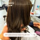 3794 | 노형동미용실 밝은 머리 톤다운 성공한 앙즈헤어 애쉬브라운(레드브라운) 염색 후기