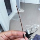 뉴그랑프리안경원 | 목동안경점 그랑프리안경 목동점 후기 🧐