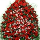 맨날맨날 이미지