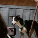 부화장 | 뉴질랜드 24일차 : 로토루아 kiwi hatchery, agorodome, redwoods tree walk, blue lake&amp;green lake