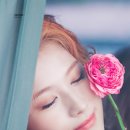 서면광무교 이미지