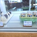 성산목장 이미지