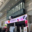 명상과 스트레칭 요가(주말) | 서울국제불교박람회 모르포스 프리미엄방석 명상매트 추천