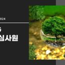 아이에스비 이미지