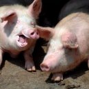 해관농장 이미지