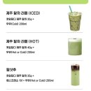 제주어머니집 | 내돈내산추천⭐스위트컵 찻잎담다 제주말차 액상 라떼 솔직후기｜집에서 카페 말차라떼 만들기