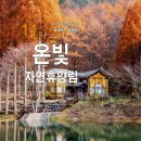 11/18(토) 논산 투어 이미지