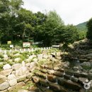 비슬산휴양림관리사무소 이미지