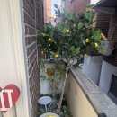 투셀러 | 성수카페 스페셜땡스투 서울숲 휘낭시에 맛집 후기