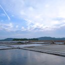 (주)태평소금 천일염 힐링캠프
