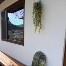 시골바이브 | 컨추리바이브 : 충청북도 보은 감성숙소 내돈내산 후기(2동, 바베큐, 자쿠지, 독채, 주차 등)