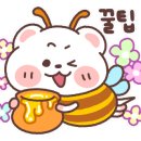 새활용 아트공예 이미지