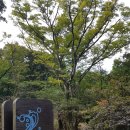 백련사(제94호) | 대흥사 두륜산