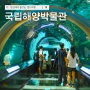부산 국립해양박물관 영도 해양박물관 총정리 후기