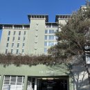 강릉동물병원 | [강릉] 강릉 반려견 동반 여행 추천 라카이샌드파인 애견동반 숙소 후기 (H동 스튜디오 스위트 트윈룸)