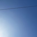 샌브로우 네이버블로그