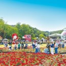 큐피드 푸드트럭 이미지