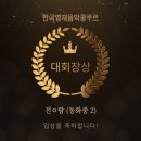 레브9 네이버블로그