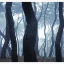 한국대중음악박물관 이미지