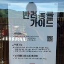 대관령팝업하우스 | 평창 카페ㅣ대관령 알펜시아 리조트 근처 이진리커피하우스 후추커피 후기