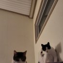 토마스동물병원 이미지