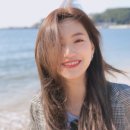 다도연