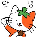 국기태권도장 이미지