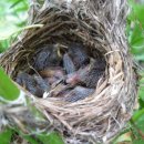 풍경시골 이미지